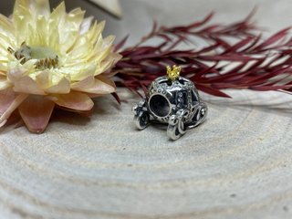 Charm Carroza Cenicienta
