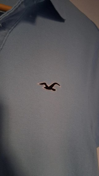 Polo Hollister Azul Celeste Hombre