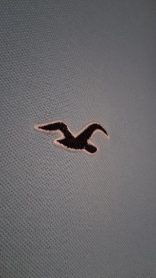 Polo Hollister Azul Celeste Hombre