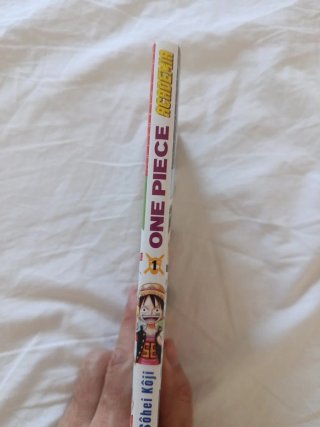 One Piece Academia nº 01