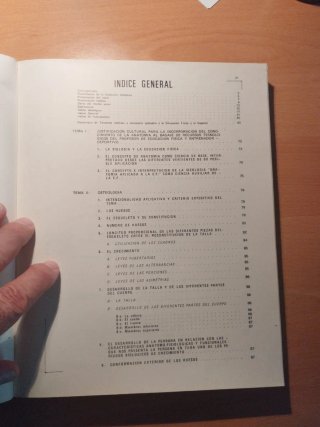 Anatomía aplicada a la educación física