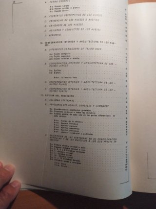 Anatomía aplicada a la educación física