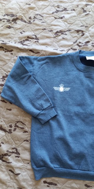 Sudadera azul con escudo talla M de EA