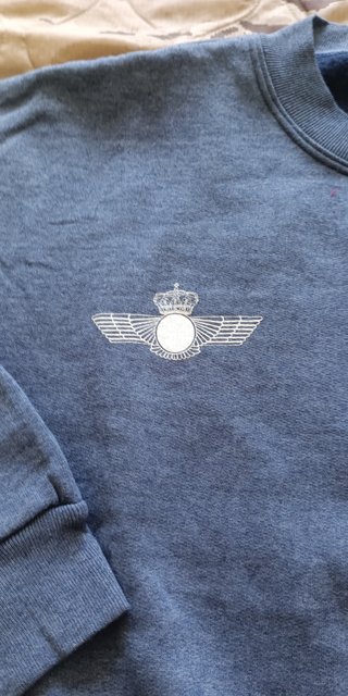 Sudadera azul con escudo talla M de EA