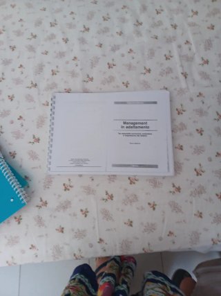 Management in adattamento. Tra razionalità econ...