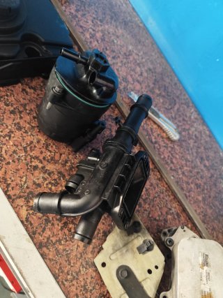 Mangueras y termostato coche