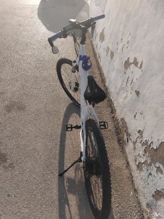 Bicicleta Eléctrica E-motion 29