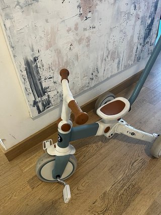 Triciclo Evolutivo Olmitos
