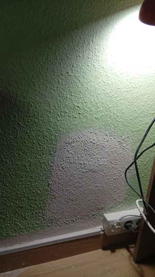 Servicios de pintura y albañilería