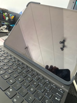 iPad Pro 12.9 3ª Gen Plata 64gb