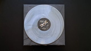 Vinilo Ariana Grande Petal