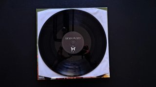 Vinilo Demi Lovato Dancing With The Devil