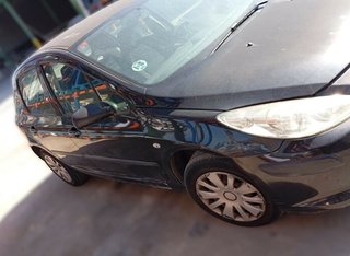 Peugeot porton tras 307 berlina (s2) d-sign 484605