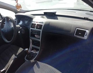 Peugeot porton tras 307 berlina (s2) d-sign 484605
