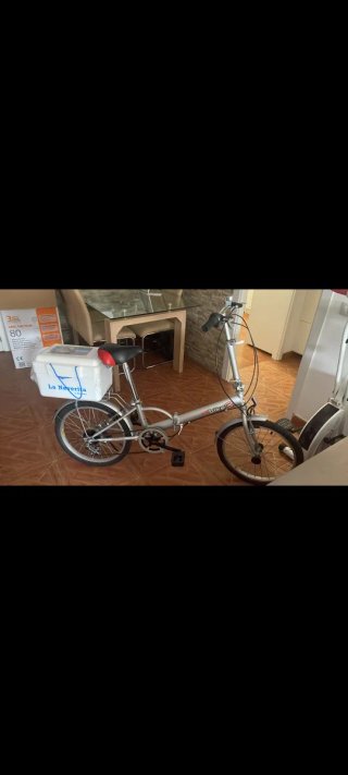Bicicleta Plegable Plata