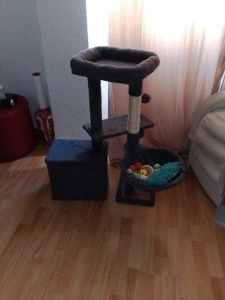 Árbol rascador para gatos casi nuevo