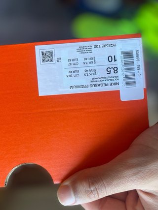 Nike pegasus premium