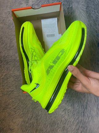 Nike pegasus premium