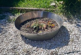 Olla grande acero inoxidable jardinería