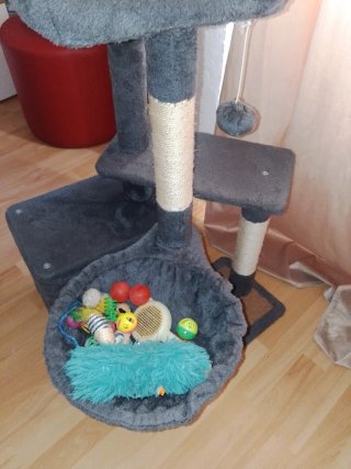 Árbol rascador para gatos
