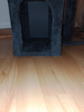 Árbol rascador para gatos