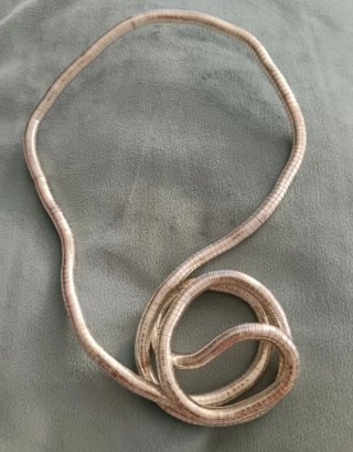 Collar  rígido plateado