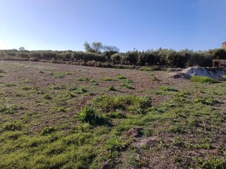 Finca rústica en venta