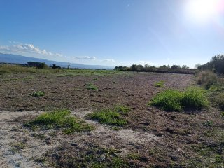 Finca rústica en venta