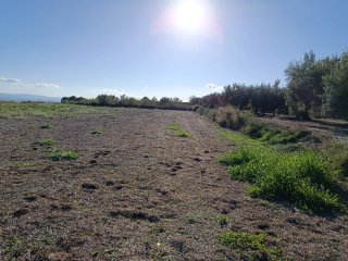 Finca rústica en venta