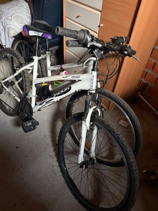 Bicicleta Montaña Roja y Blanca