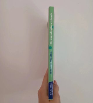 Un curs d'estiu a Irlanda