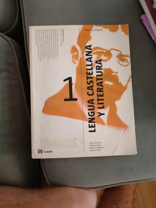 Lengua castellana y Literatura 1 Bachillerato