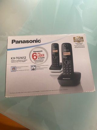 Teléfono Inalámbrico Panasonic KX-TG1612 Negro