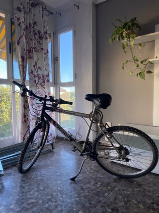 Bicicleta Phoenix Pro-Bike Plata