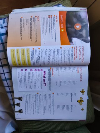 GOLD EXPERIENCE 2ED A2+ STUDENT'S BOOK & INTERA...