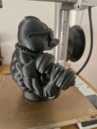 Figura pato gymbro