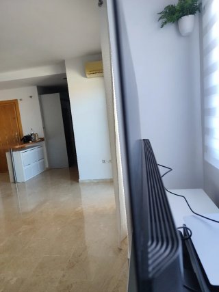 TV LG OLED 48C54LA