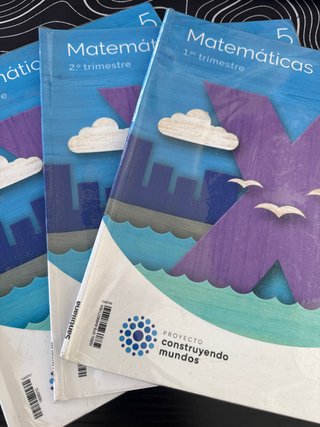 MATEMATICAS M LIGERA 5 PRIMARIA CONSTRUYENDO MU...