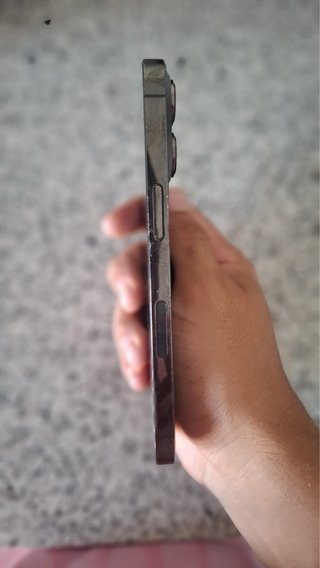 iPhone 13 Pro Gris