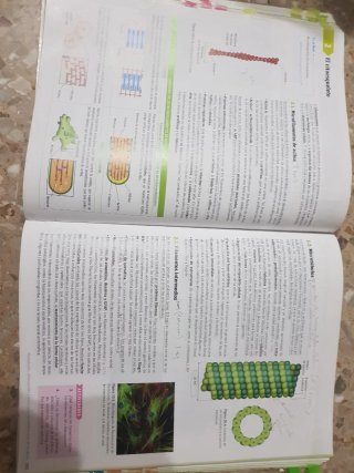 Biología, 2 Bachillerato