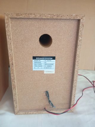 Altavoces LG FE-DV25VE (6Ω / 50W)
