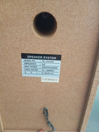 Altavoces LG FE-DV25VE (6Ω / 50W)