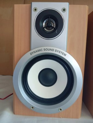Altavoces LG FE-DV25VE (6Ω / 50W)