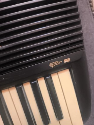 Órgano Yamaha PSR-195