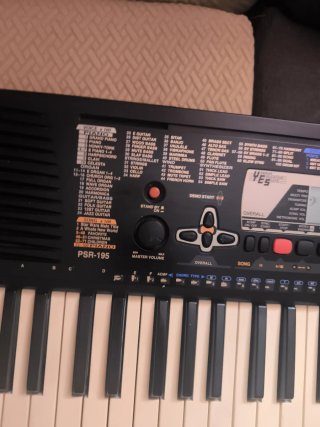 Órgano Yamaha PSR-195