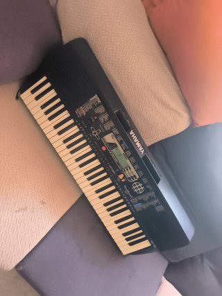 Órgano Yamaha PSR-195