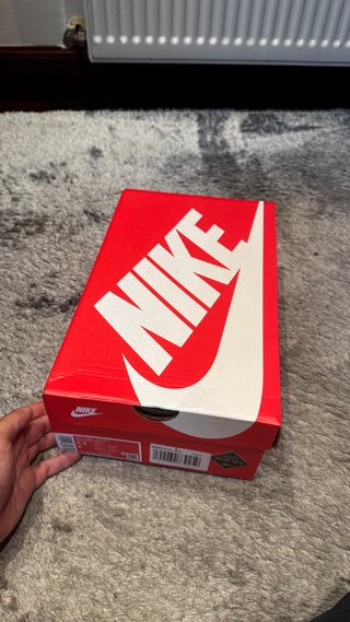 Nike SB Gore-Tex Rojas Plata