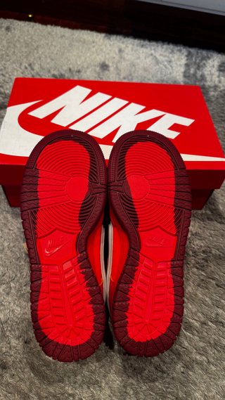 Nike SB Gore-Tex Rojas Plata