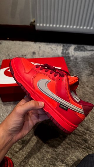 Nike SB Gore-Tex Rojas Plata