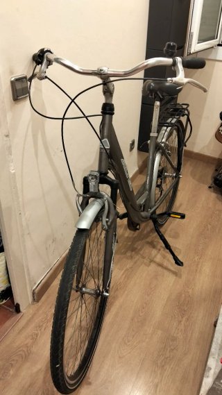 Bicicleta de paseo gris